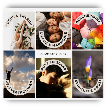 Steenrijcke - Aromatherapie - Geuren