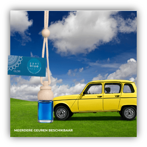 Steenrijcke - Olori - Autogeur - Sport